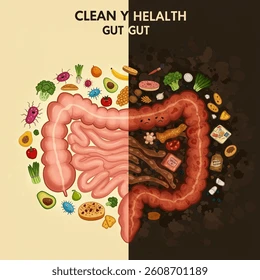clean gut vs unhealthy 260nw 2608701189